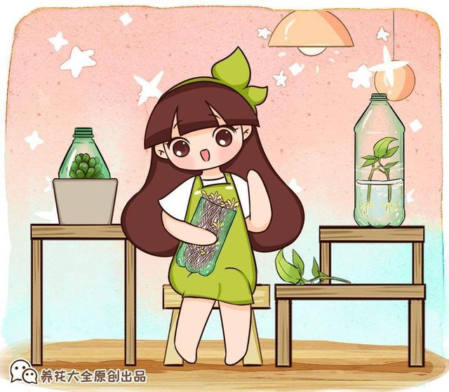 制砂机设备阳台养花的简单介绍