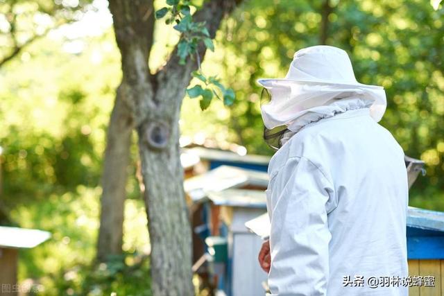 蜂蜜过滤机去哪里买