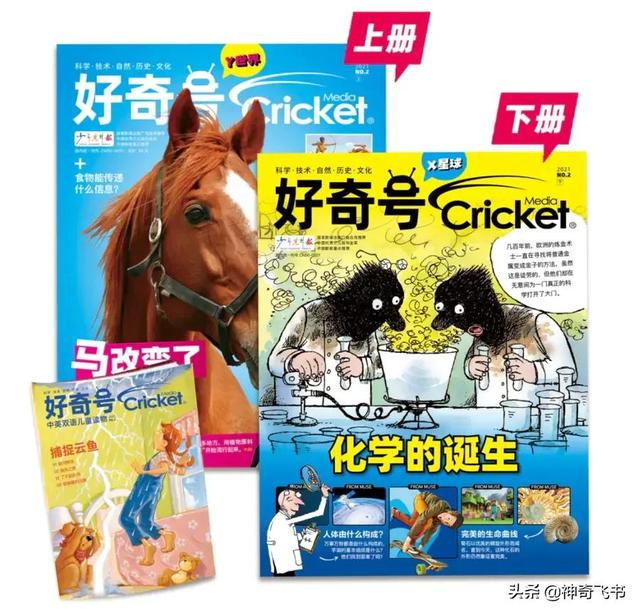 孩子不爱看书怎么办？11种优质杂志总有一款能帮到你