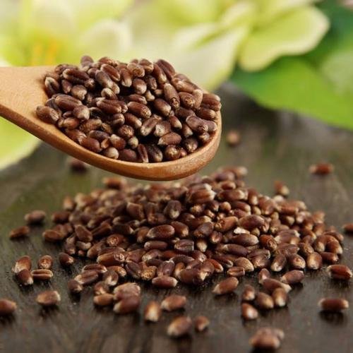 全谷食物巧搭配！日常饮食怎么搭配营养又美味？