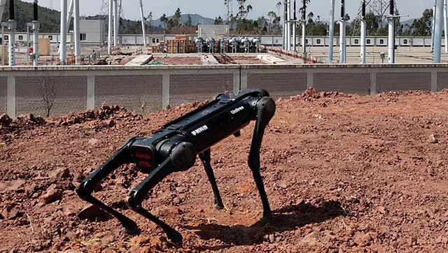 小米铁蛋迎对手，一只机器狗卖到30万，既能当警犬还能搞科研