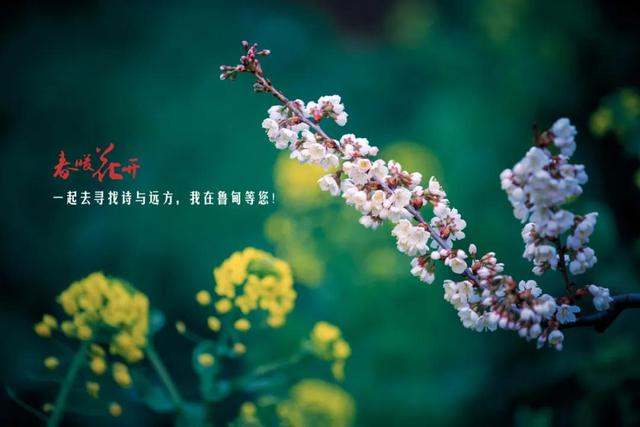 关于马龙小型洗砂机厂家电话的信息