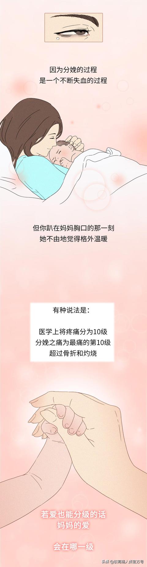 你出生前的24小时，都经历了什么？