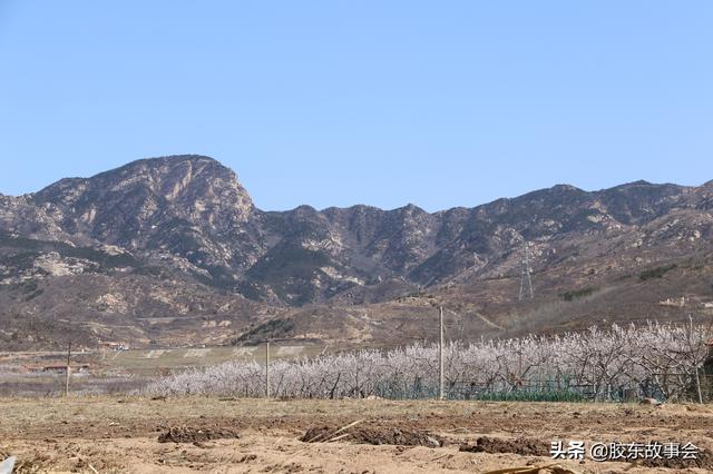 招远历史上的奇事：罗山“石崩”的当天，一位好知县去世