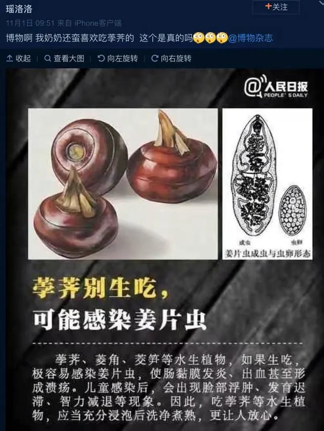 荸荠 藕等这4种常见的蔬菜 警惕寄生虫 孩子尤其要小心 Zh中文网