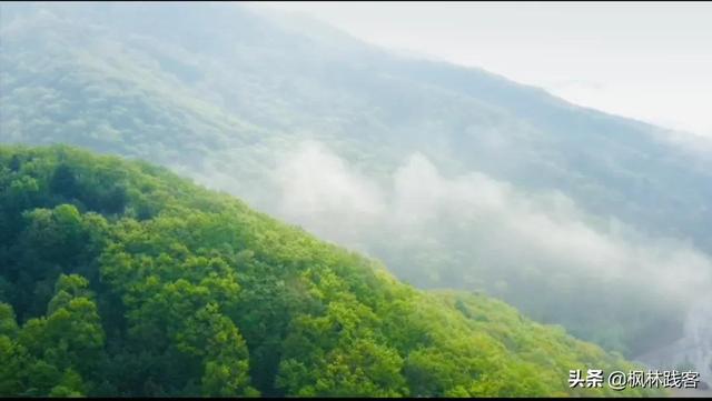 這個七夕唯愛永恒，到遼寧楓林谷山林間感受山河浪漫