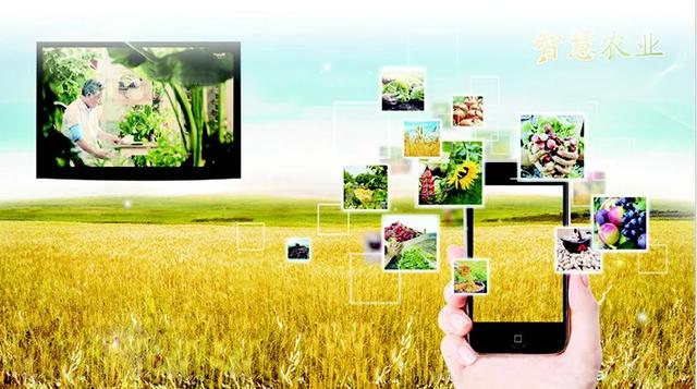 粮价？特肥？未来几年，农资行业的焦点在这里