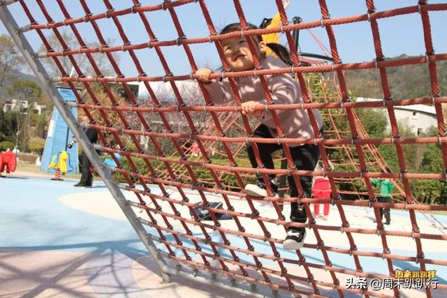 可爱爆炸！秋日萌萌哒便当，亲子露营必备哦