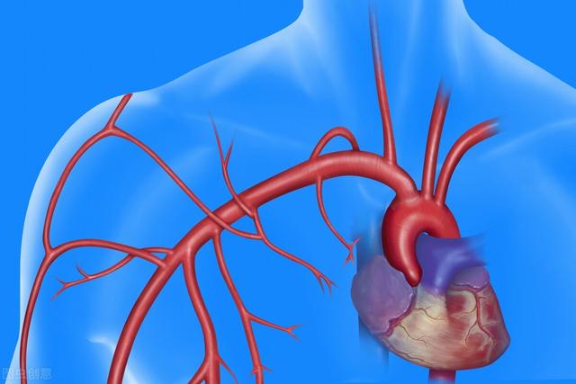 中老年人改善血液循环，会带来3点获益，生活中做好6件事很重要