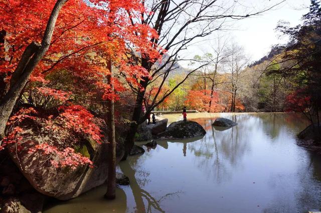 遼寧一處公園 是國家級森林公園 是國內知名的賞楓園區之一 Kks資訊網