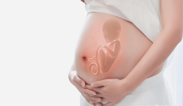 孕妇产下“兔唇宝宝”, 谎称孕期吃了兔肉，被医生揭穿