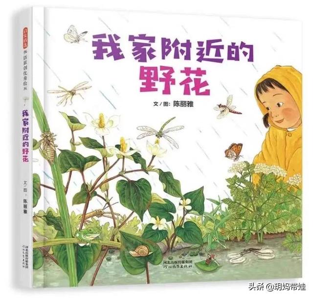 权威！教育部专家推荐给孩子们的书来了！这个图画书单超厉害