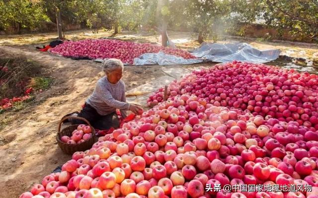 庆阳洗砂机生产厂家