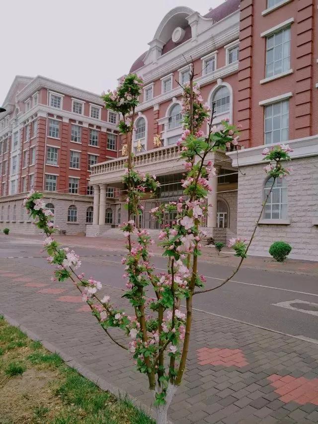 天津外国语大学滨海外事学院