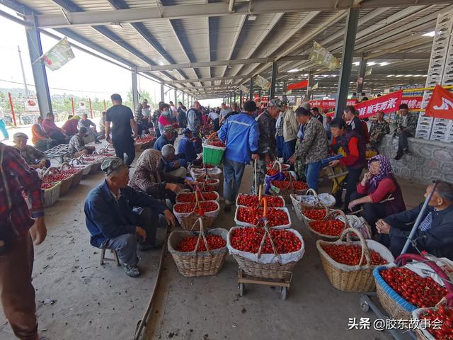 烟台大樱桃早熟品种批量上市，看张格庄市场的收购场景7