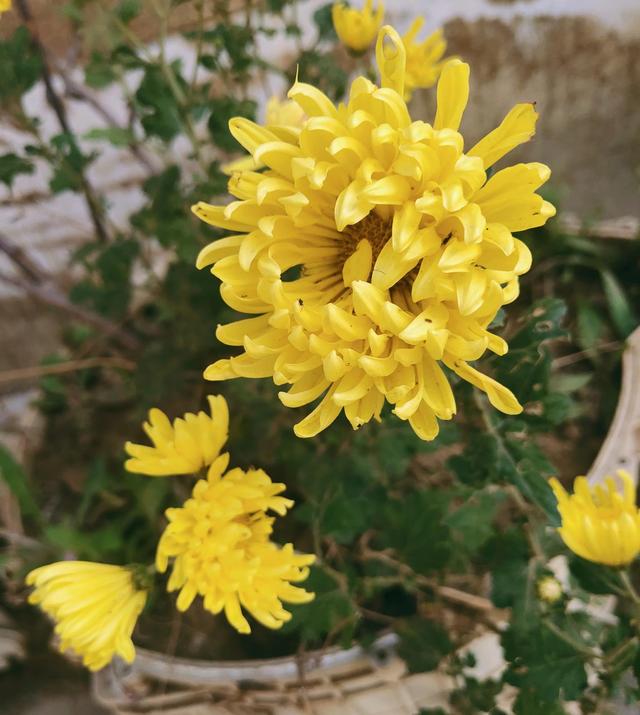 看好口福 更健康