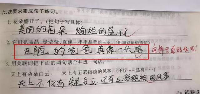 幼儿园和小学生作业火了，老师笑得手抖，家长恨不得钻地缝