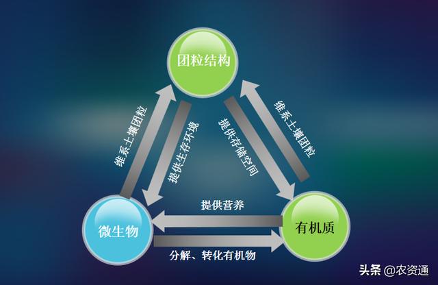 土传病害发生的根本原因及根治办法，亲试有效6