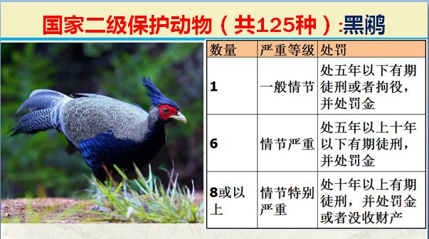 国家二级保护动物