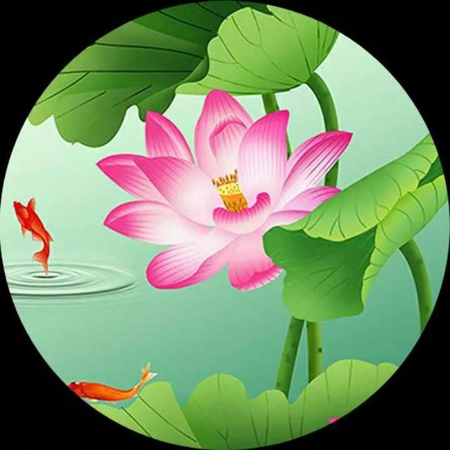 手机好看的图片头像(手机好看的图片头像带郑姓)