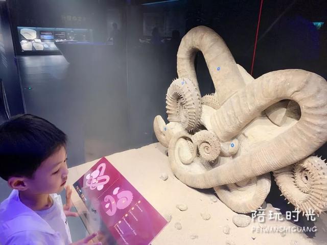移动摩天轮洗砂机报价