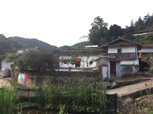 蓝伟光:蓝伟光：从武平小山村走出，成市值超90亿的上市公司掌舵人