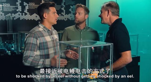 金属破碎机每日开机前必做检查比例失重调整