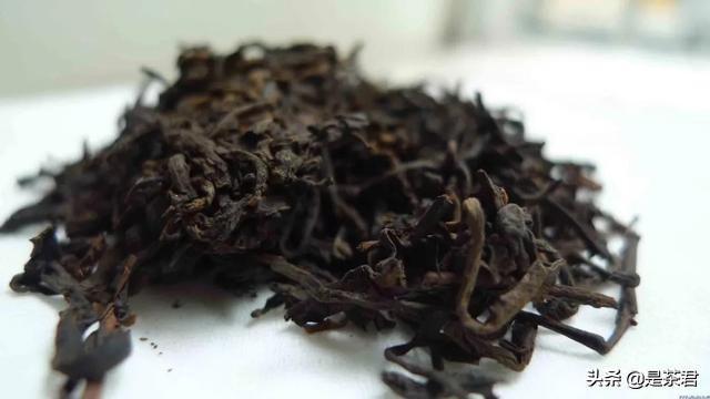 茶树破碎机