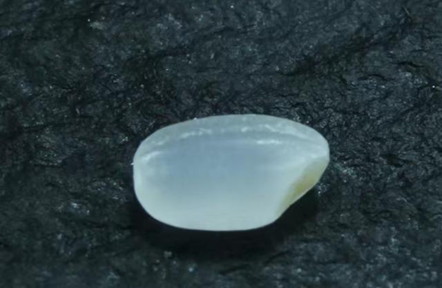 小型金属破碎机找万昌机械