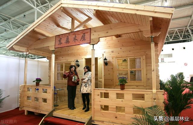 水杉 水杉「水杉是常绿还是落叶」 生活