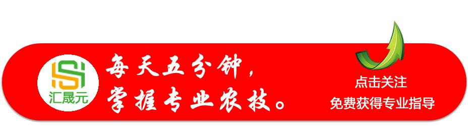 这种药既可以杀虫又可以杀菌，是省工省钱的好农药