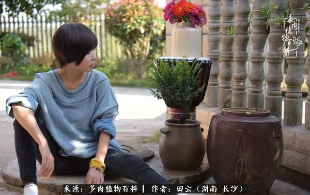 影片剧照