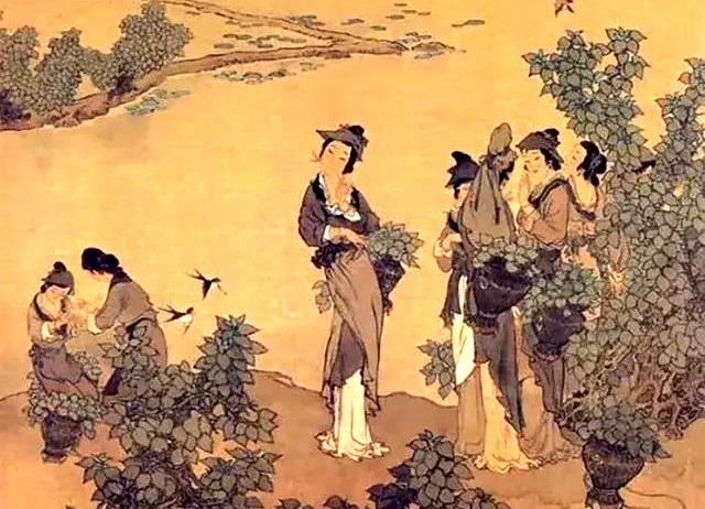 行的拼音