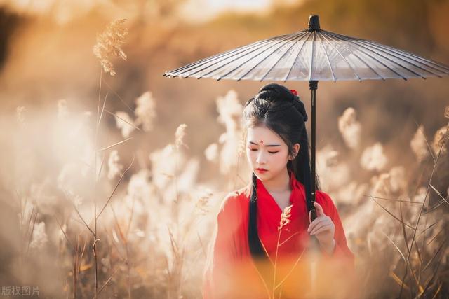 清清如风全本小说下载(一叶如风全集电子书)