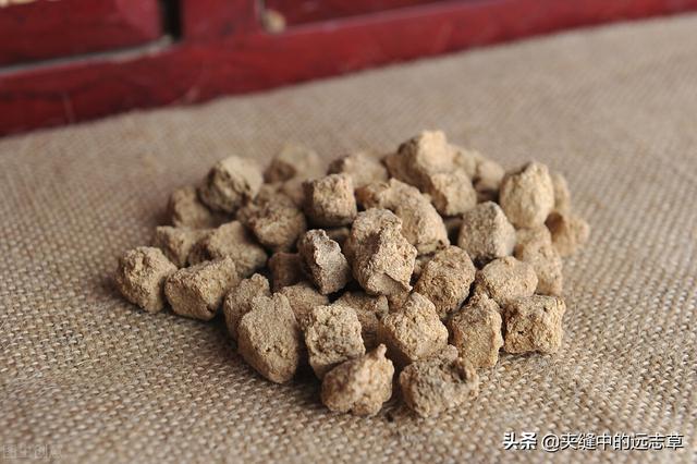 肩周炎，活动受限？送你四味中药，祛顽痰，通经络，快来了解下吧