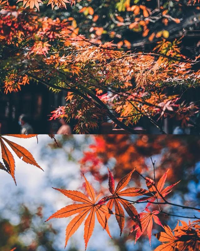 天平山
