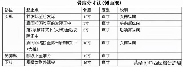 「穴位养生」教你穴位怎么找，收藏价值极高