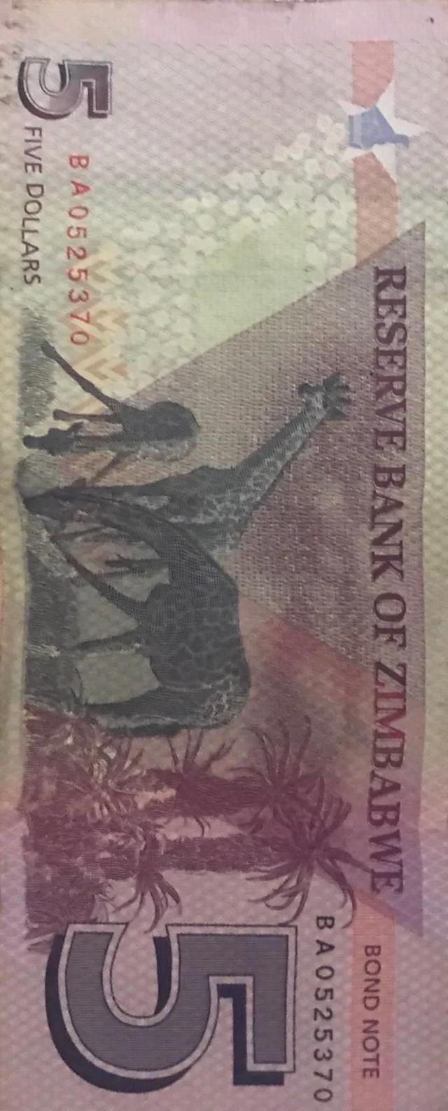 各国钱币扫描识别