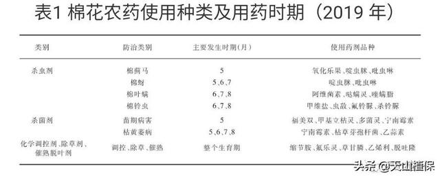 新疆棉田农药使用现状及对策2