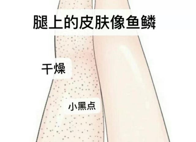 日本角鲨烷香氛身体乳怎么样