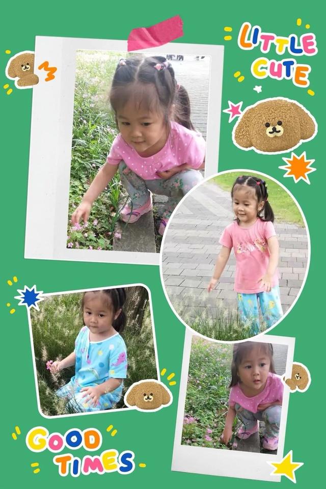 寻花之旅——友联幼儿园小班幼儿《花儿朵朵开》班本课题