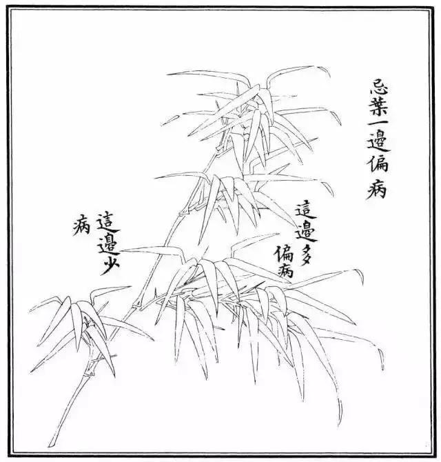 竹子怎么画 竹子怎么画