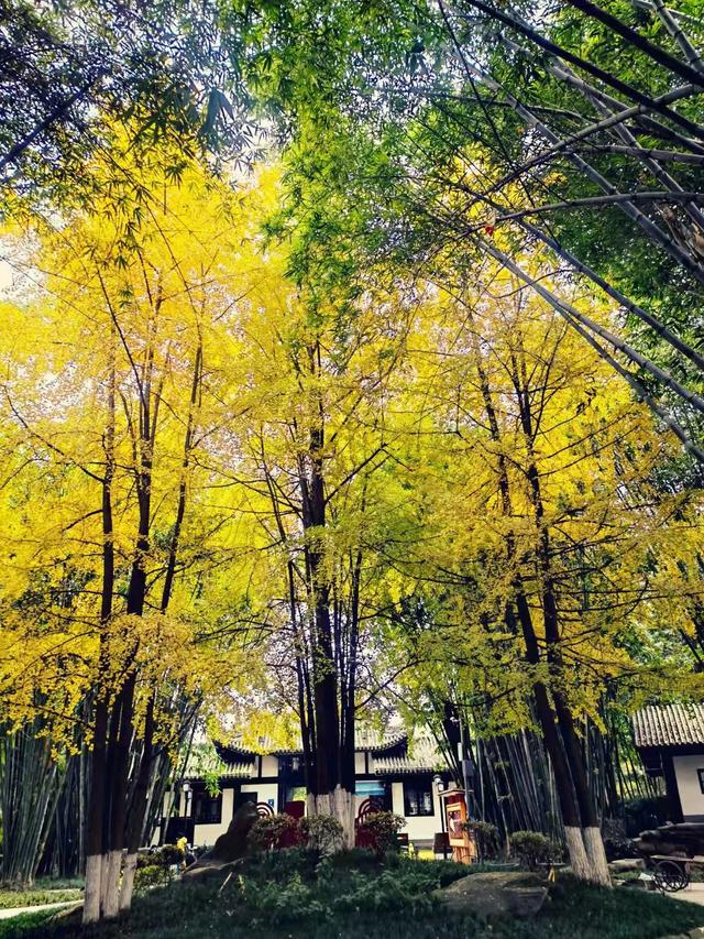 我从学霸家路过：孩子之间的差距本质上其实就是父母之间的差距