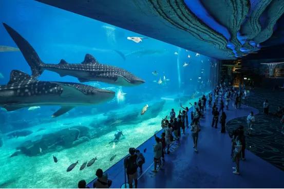 停工、转让、关门…房企纷纷撤离，国产主题公园集体落幕