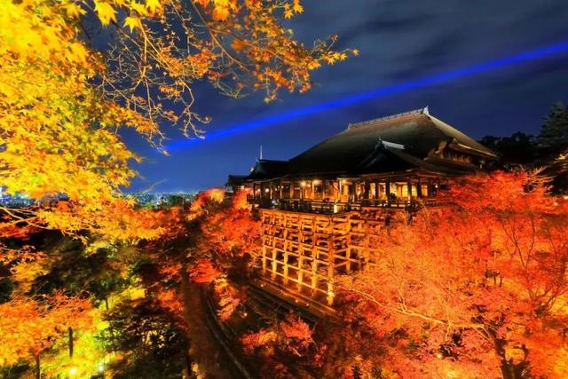 日本 紅葉狩 的正確解鎖方式 去京都就知道了 中國熱點