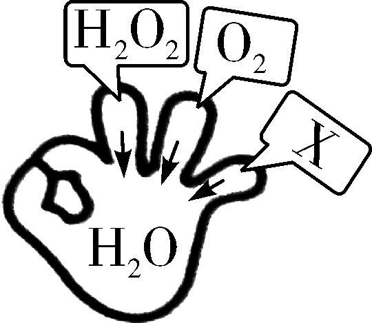碳酸分解（碳酸分解属于什么反应）