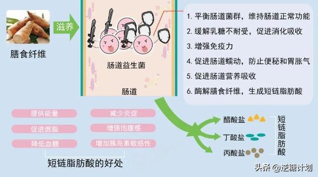 揭秘！人体所需七大营养素背后的健康奥秘