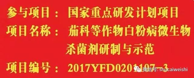 白粉病难防治？防治方法，原来这么简单8