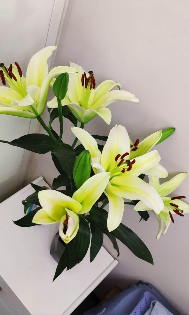 花卉名称