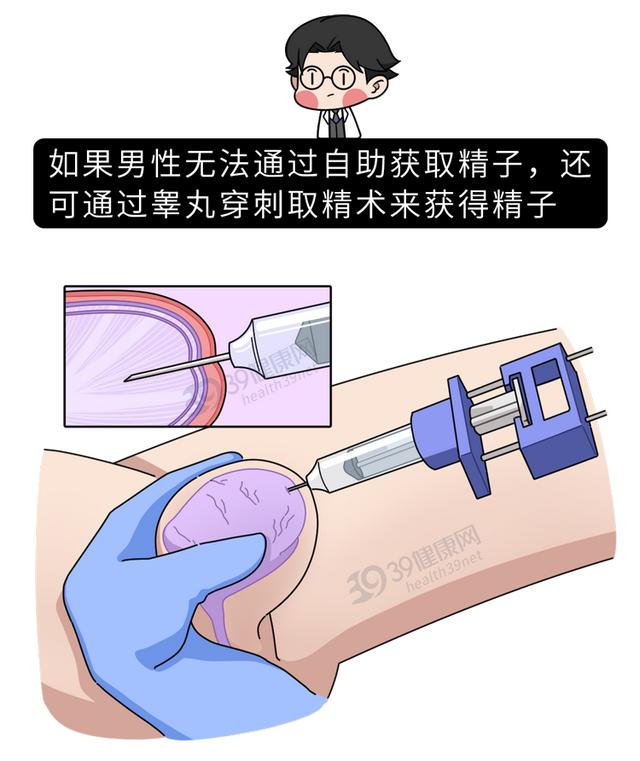 做试管婴儿有多“遭罪”？一篇漫画解释整个过程，看完泪目了